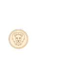 Aslan Cars GmbH