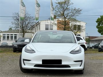 Model 3 Performance Dual Long