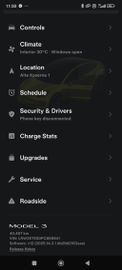 Model 3 Long Range Limited Edition 620km RWD